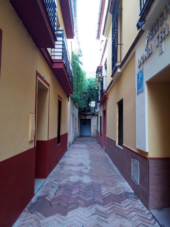 Apartamento San Clemente Севилья Экстерьер фото